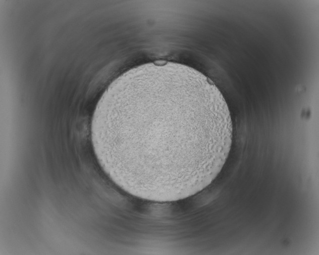 X0000111130085200907211125