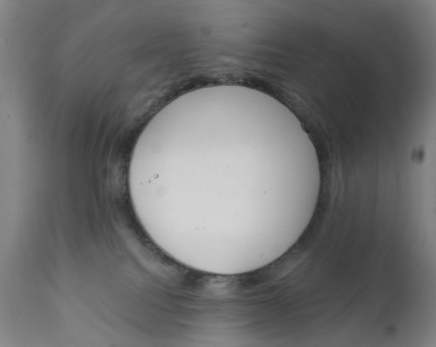 X0000111130088200907211125