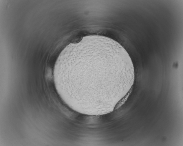 X0000111130089200907211125