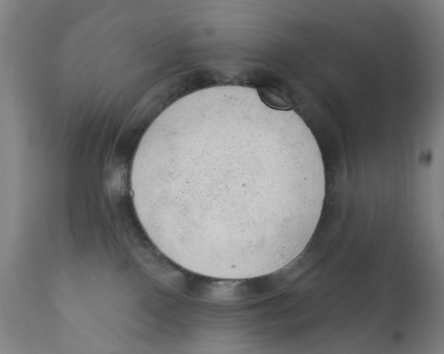 X0000111130090200907211125