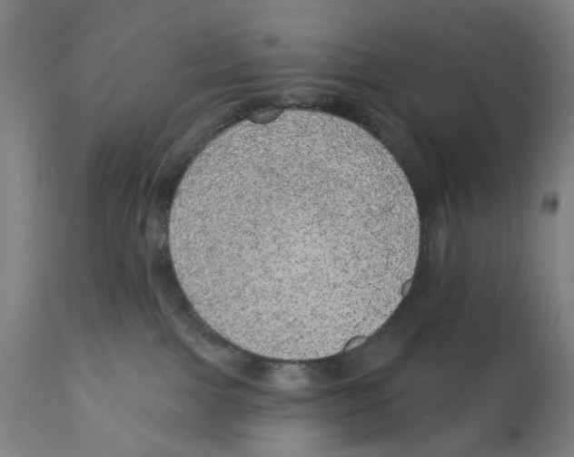 X0000111130091200907211125