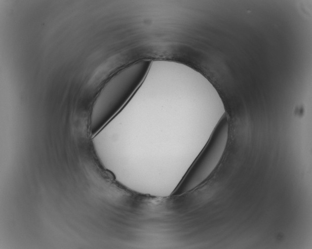 X0000111130092200907211125
