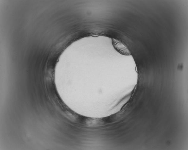 X0000111130093200907211125