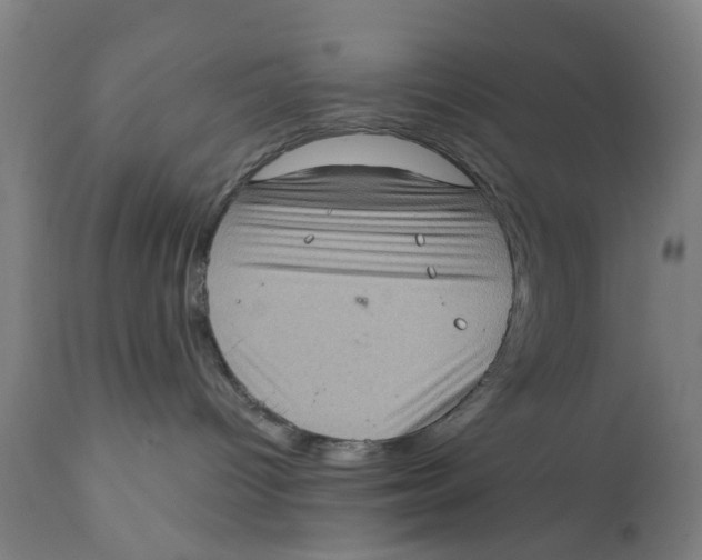 X0000111130096200907211125