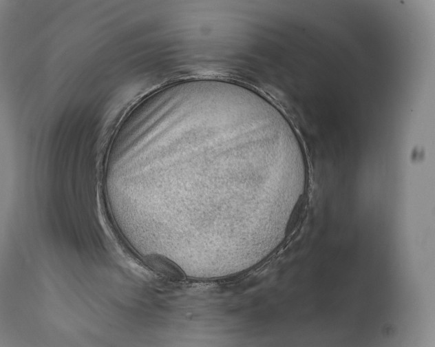 X0000111130097200907211124