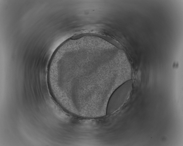 X0000111130100200907211124