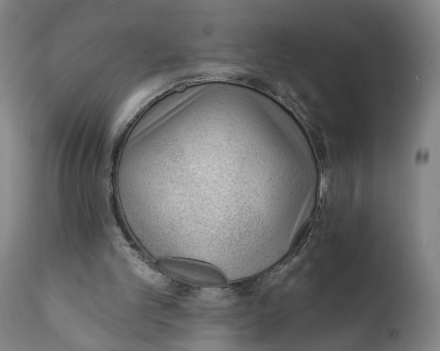 X0000111130101200907211124