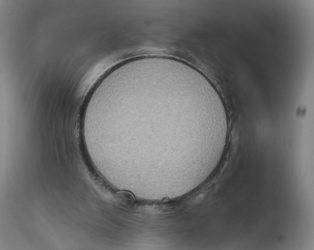 X0000111130103200907211124