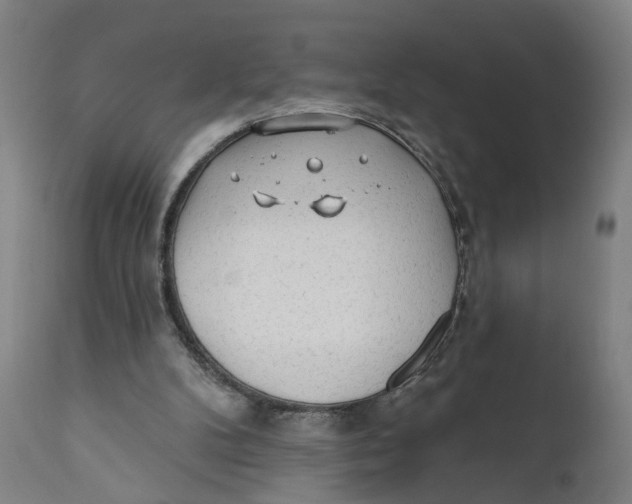 X0000111130104200907211124