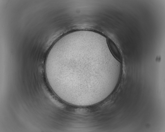 X0000111130105200907211124