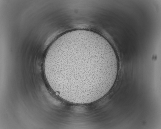 X0000111130106200907211124