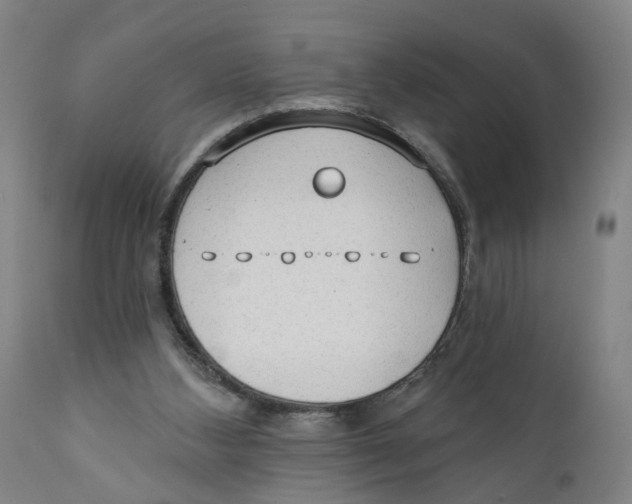 X0000111130108200907211124
