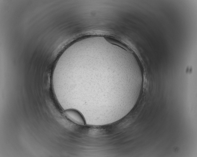 X0000111130109200907211124