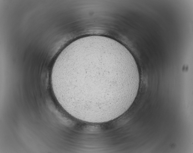 X0000111130110200907211124
