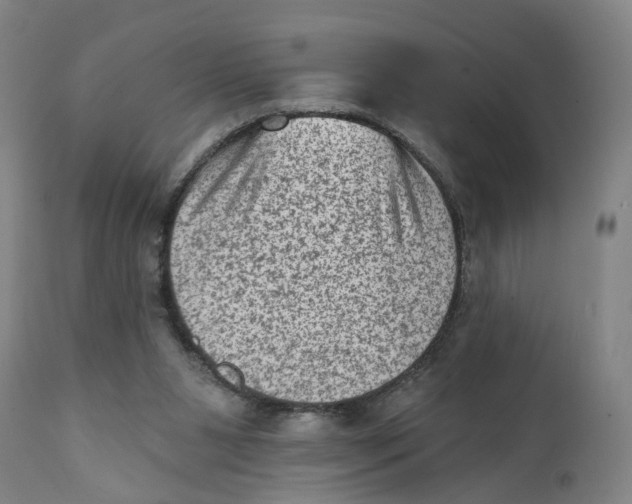 X0000111130111200907211124