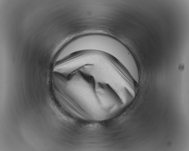 X0000111130112200907211124
