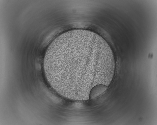X0000111130114200907211124