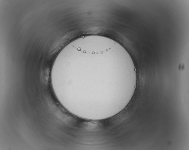 X0000111130118200907211124