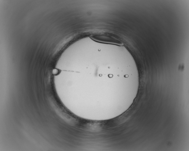X0000111130120200907211124