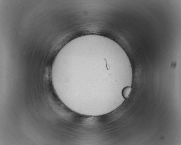 X0000111130122200907211124