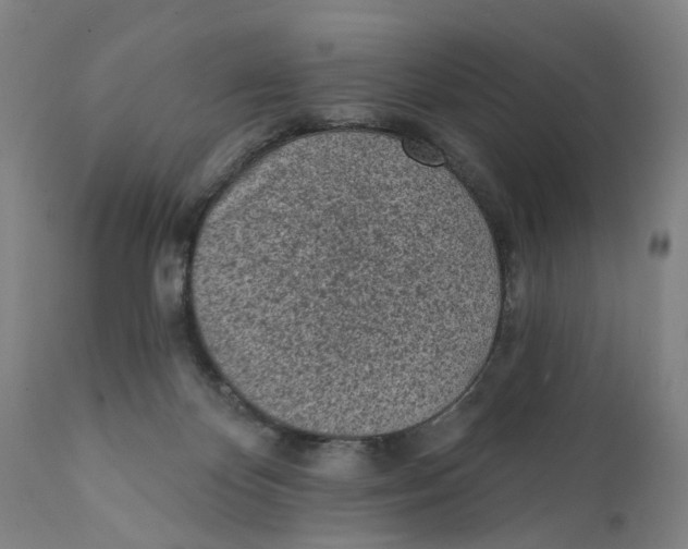 X0000111130124200907211124