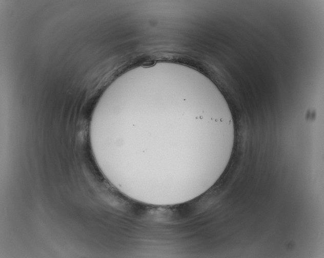 X0000111130125200907211124