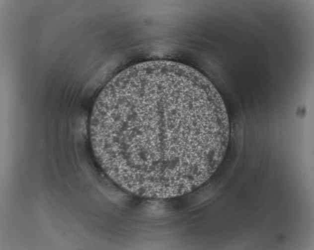 X0000111130127200907211124