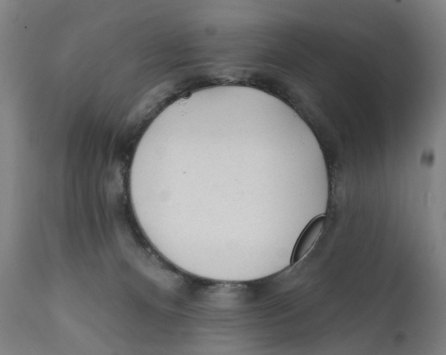 X0000111130128200907211124