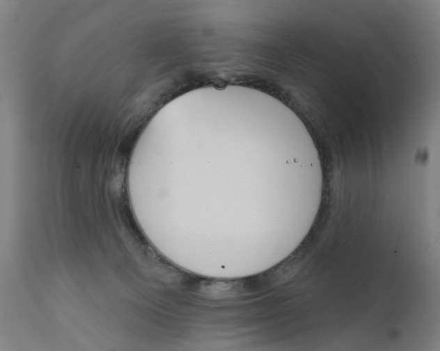 X0000111130129200907211124