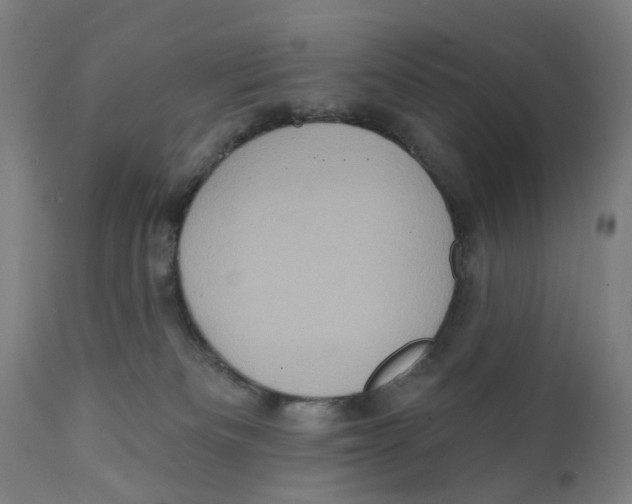 X0000111130133200907211124