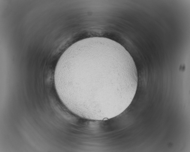X0000111130134200907211124