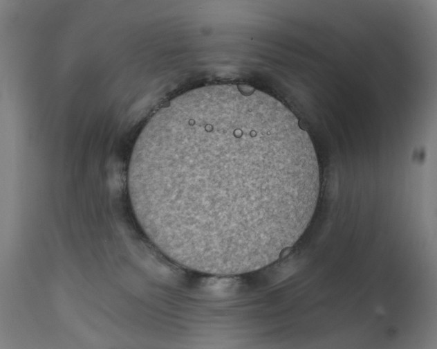 X0000111130135200907211124