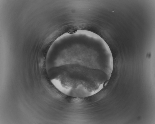 X0000111130139200907211123