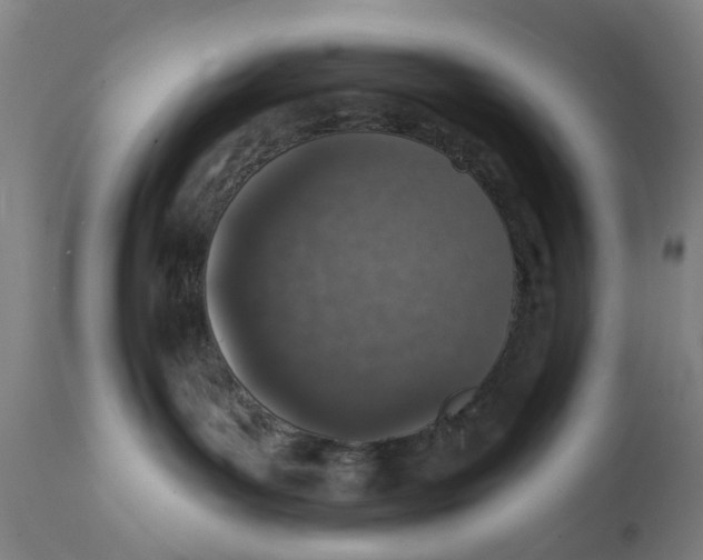 X0000111130143200907211123