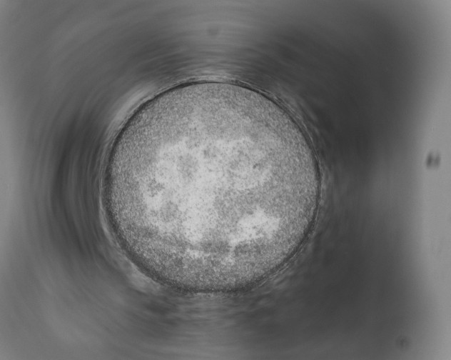 X0000111130145200907211122