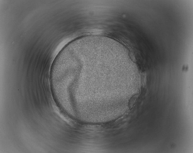 X0000111130147200907211122