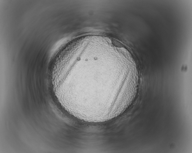 X0000111130149200907211122
