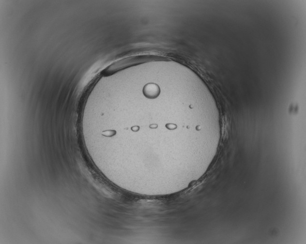 X0000111130150200907211122