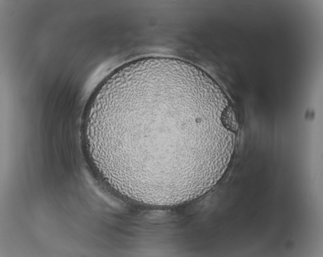 X0000111130151200907211122