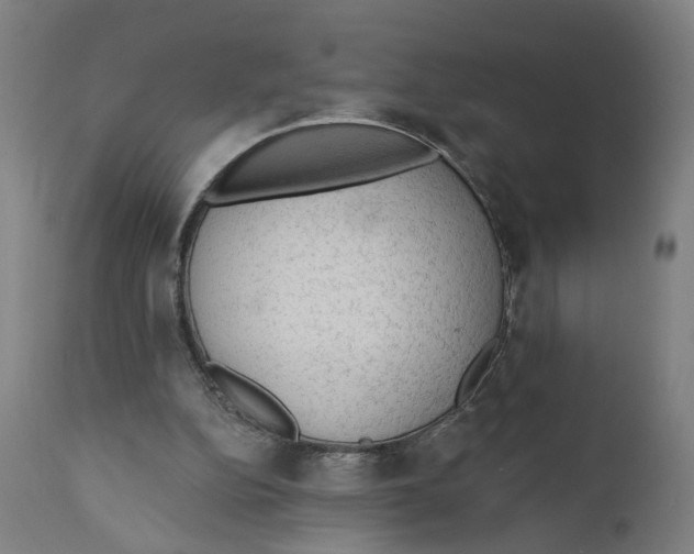 X0000111130152200907211122