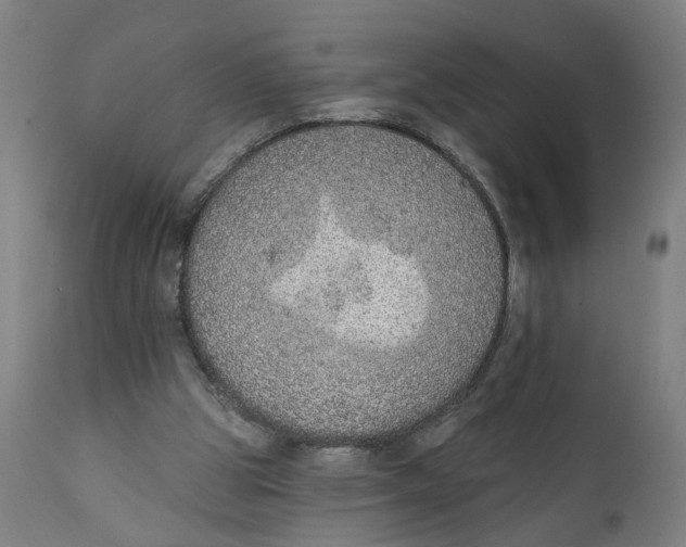 X0000111130153200907211122