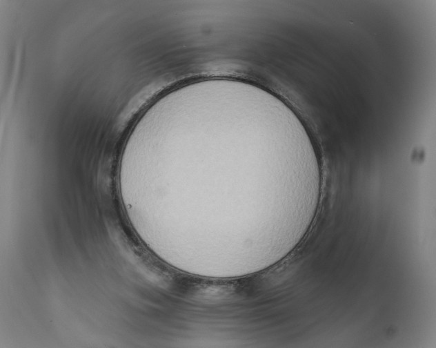 X0000111130155200907211122