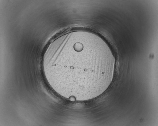 X0000111130156200907211122