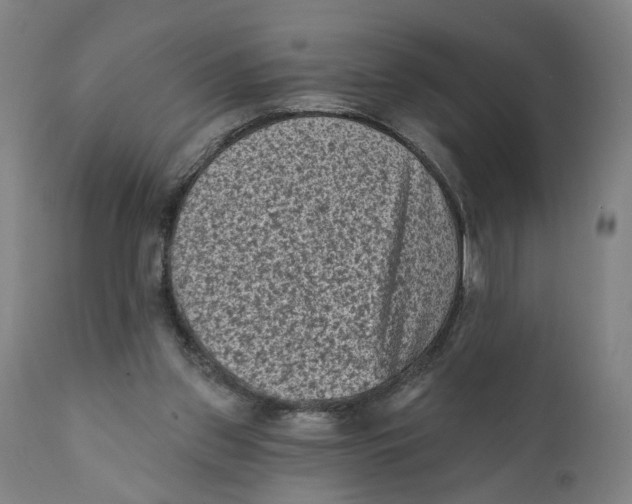 X0000111130157200907211122