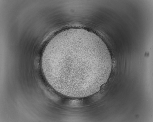X0000111130158200907211122