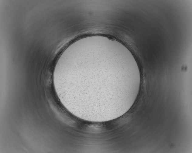 X0000111130164200907211123