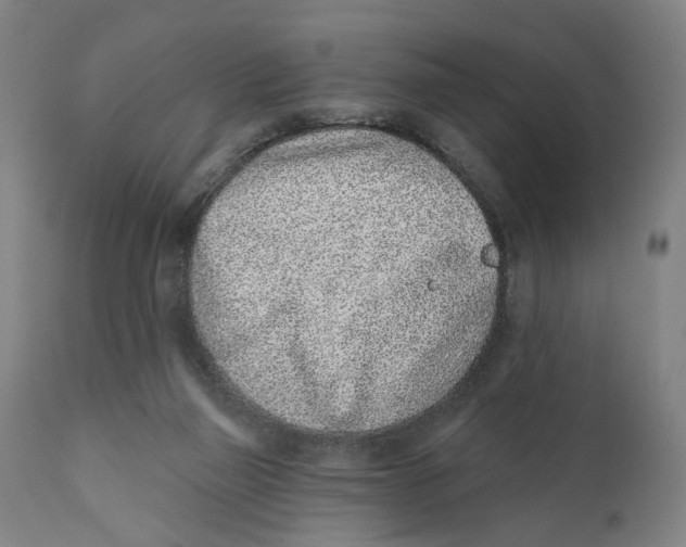 X0000111130165200907211123