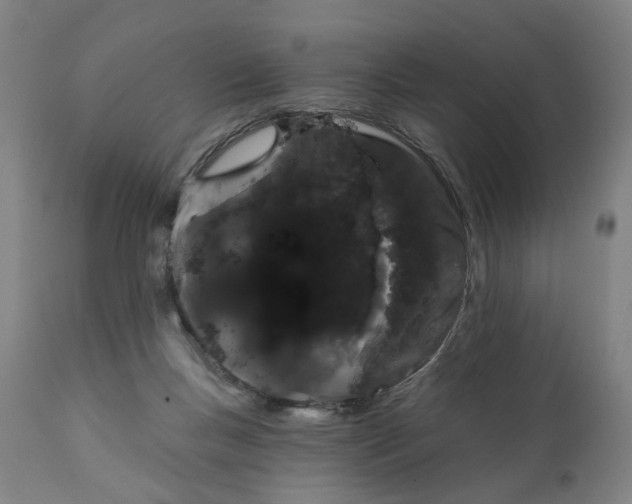 X0000111130167200907211123