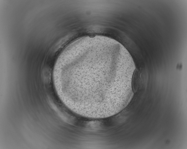 X0000111130168200907211123