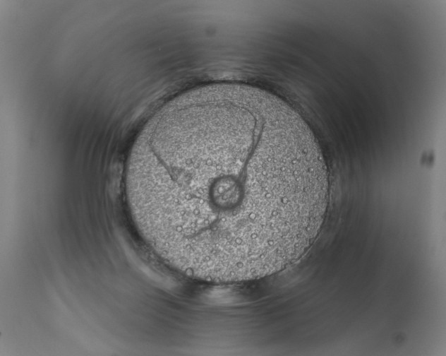 X0000111130171200907211123